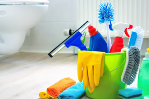 Messie Reinigung Cottbus